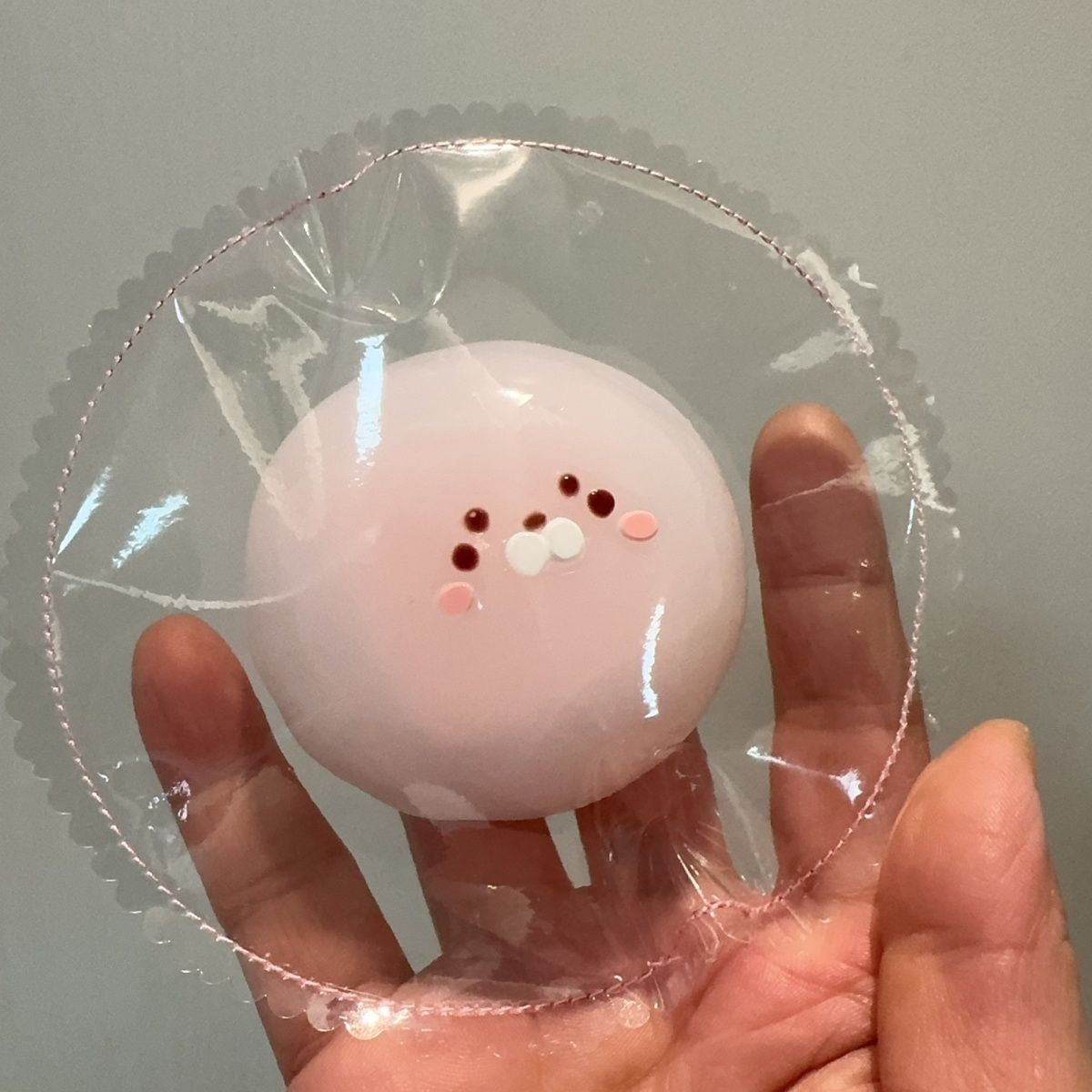 Baby Seal Bag Squishy