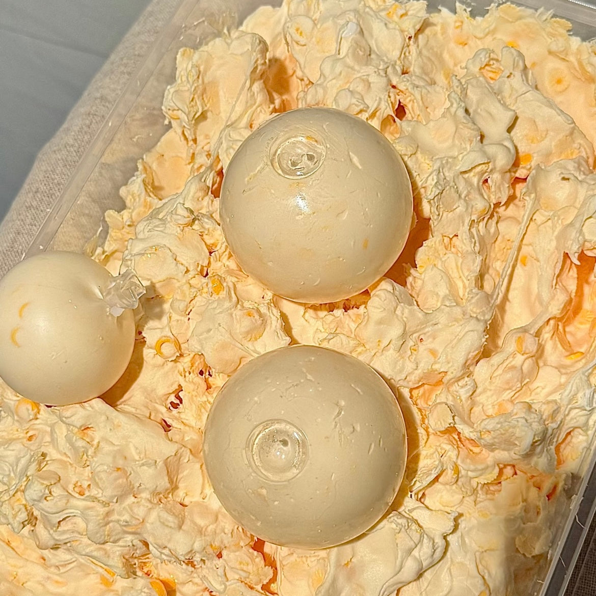Mango Jasmine Iced Stress Ball (Block Filling)