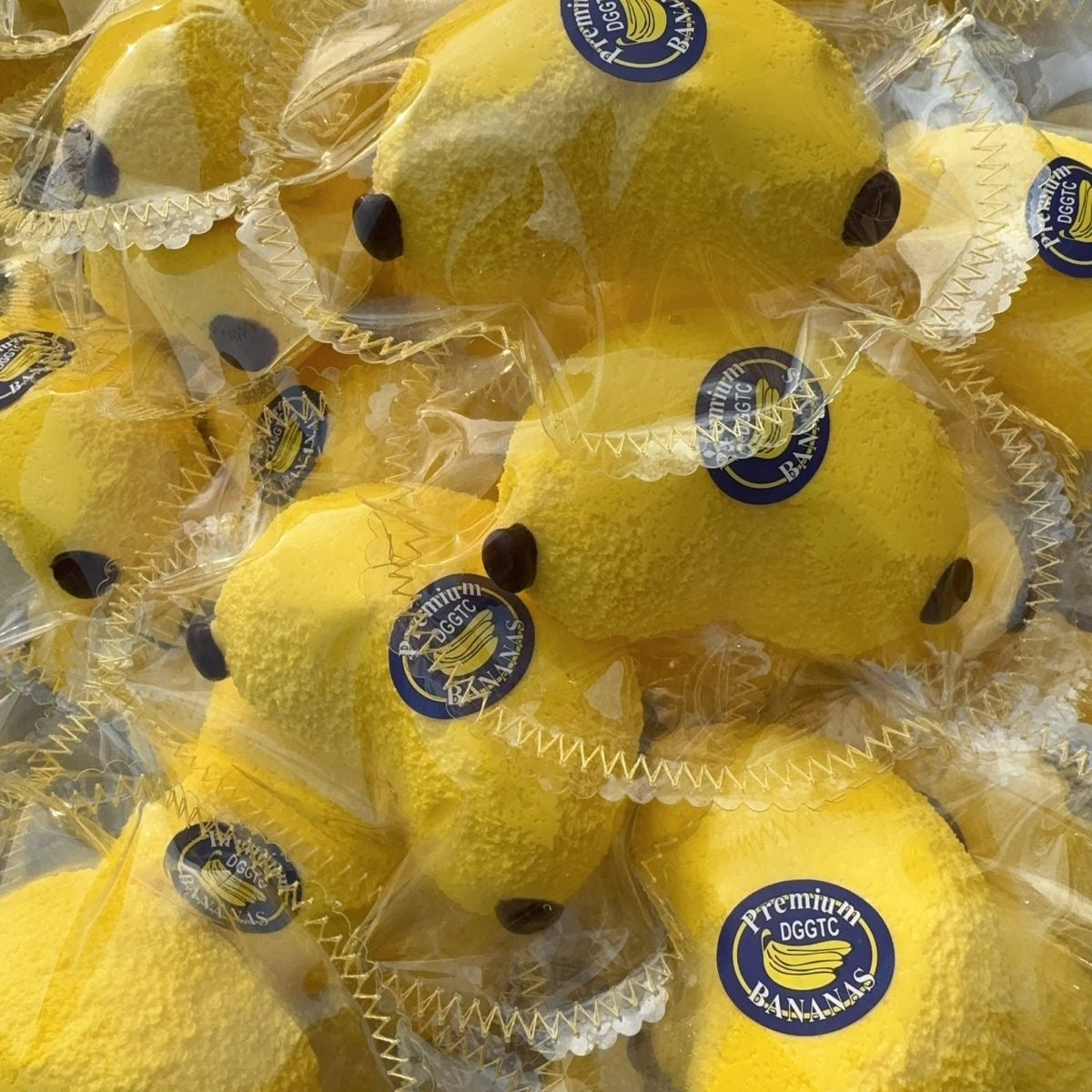 Banana Bag Squishy