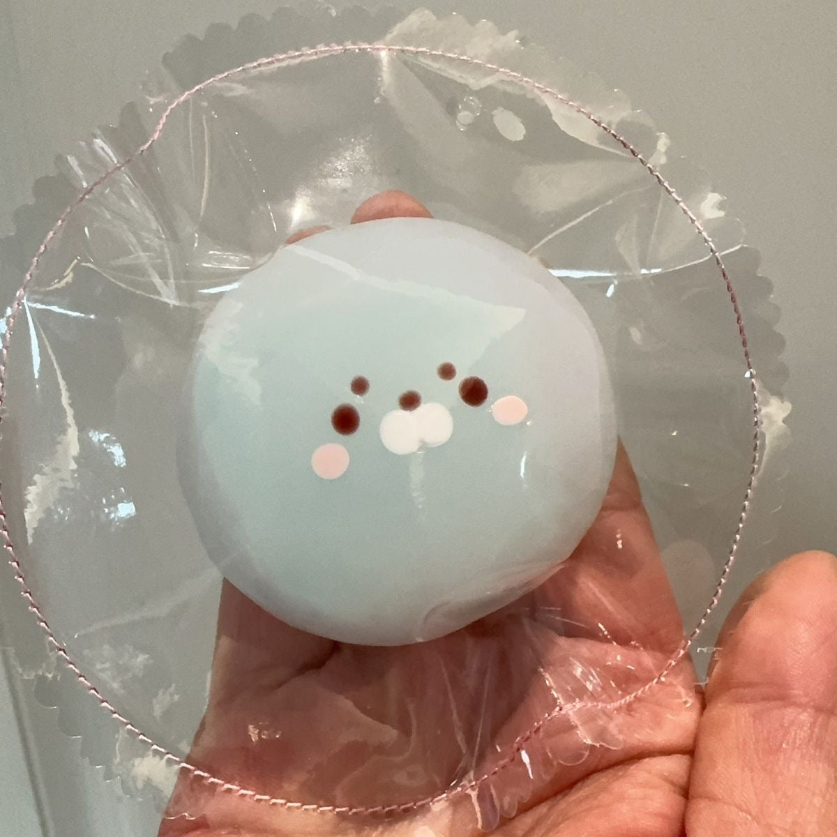 Baby Seal Bag Squishy
