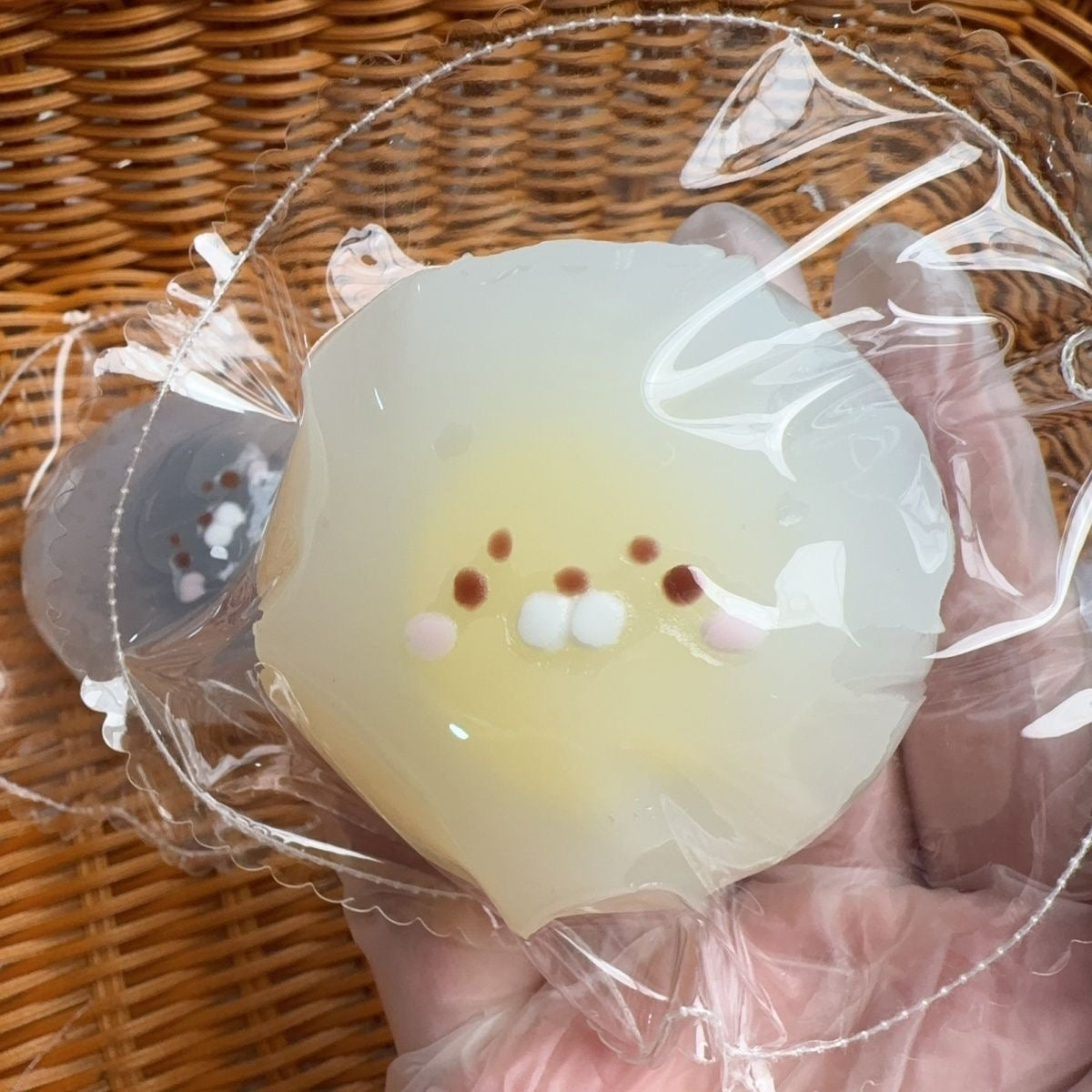Baby Seal Bag Squishy