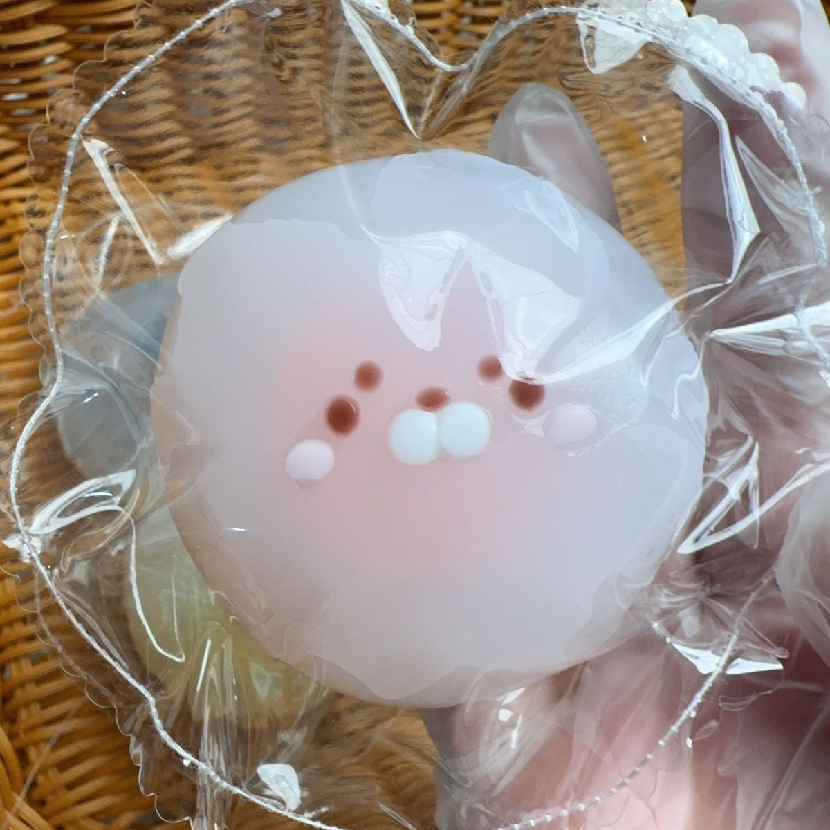 Baby Seal Bag Squishy