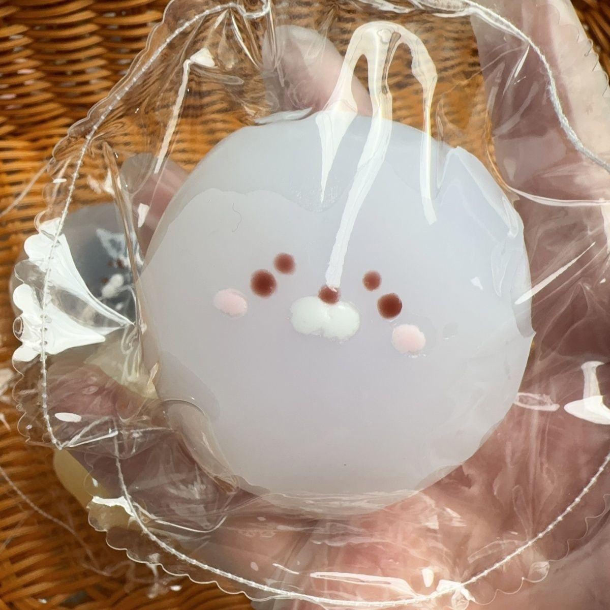 Baby Seal Bag Squishy