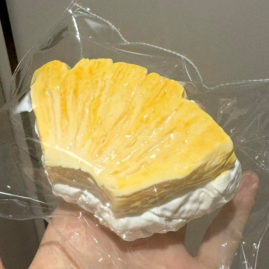 Pineapple Yogurt Bag Squishy