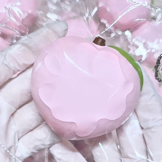 Peach Bag Squishy