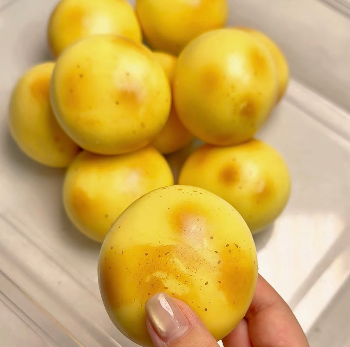 Small Potato Stress Ball (Block Filling)