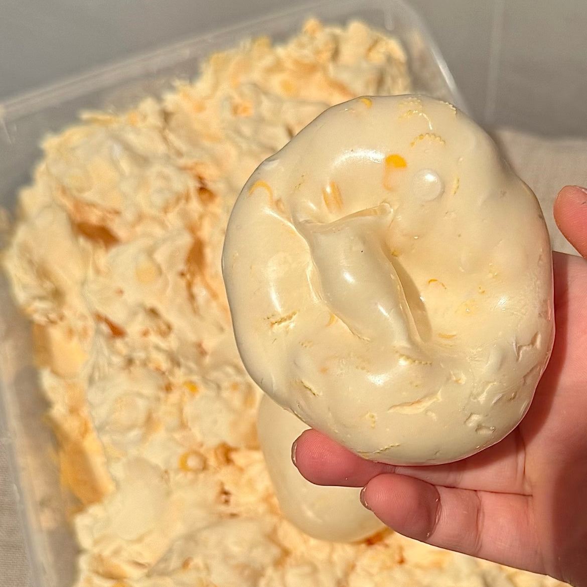 Mango Jasmine Iced Stress Ball (Block Filling)